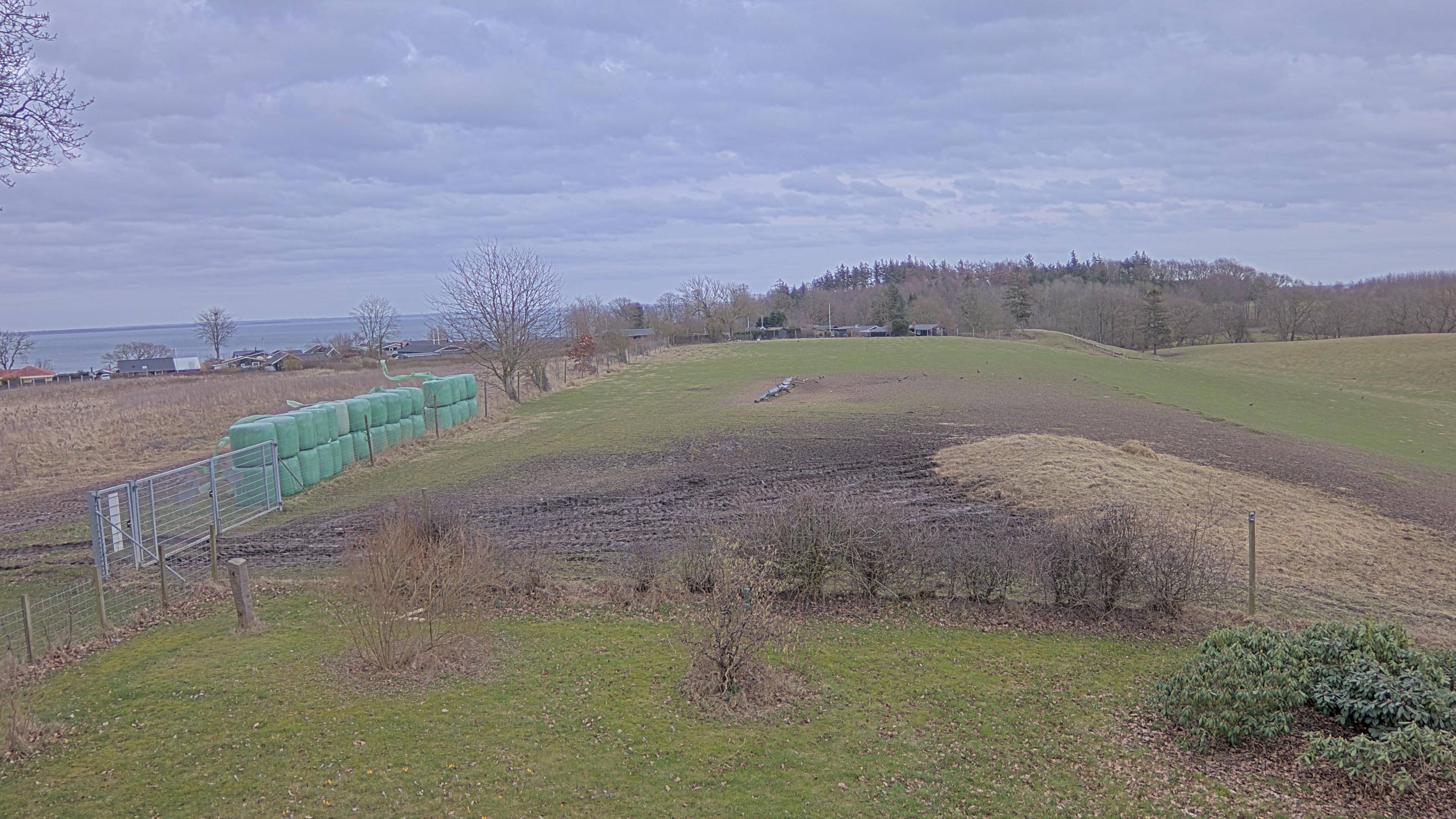 Webcam in Haderslev, South Denmark - Denmark